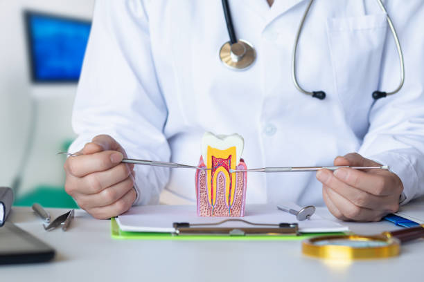 Best Emergency Wisdom Teeth Removal in St Leo, FL